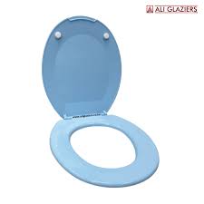 Plastic Pvc Blue Toilet Seat Covers In