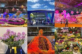 2022年臺灣國際蘭展- 超美的各式蘭花讓人看到臺灣之光，還有用各種用蘭花為主題的奇幻主題館！