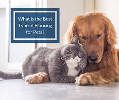 what are the best flooring for pets in