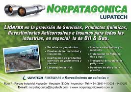agosto 2014 Petrotecnia Revista del Instituto Argentino del Petróleo y del  Gas. • Año LV Nº 4