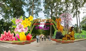 Image result for hoa xuan images