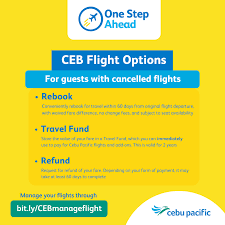 cebu pacific announces canceled flights