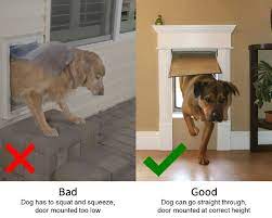 Insulated Pet Doors For Dogs Cats