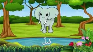 Mengenal hewan dalam bahasa arab #soundeffect. Video Nama Nama Haiwan Dalam Bahasa Sriti Negeri Perak