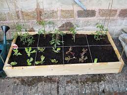 small vegetable garden ideas