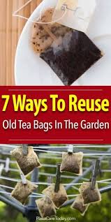 Used Tea Bags Extreme Gardening Tea Bag