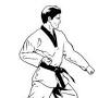 24 patterns in taekwondo from googleweblight.com