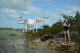 grade drones can monitor marine animals
