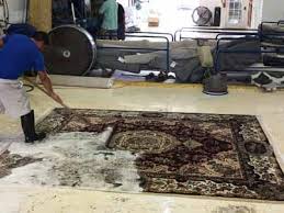 oriental rug cleaning pembroke pines