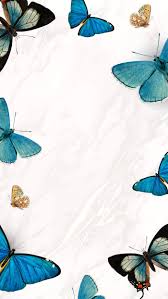Blue butterfly backgrounds are intended for users who want to display modern colors on the screen of an apple smartphone. Butterfly Aesthetic Wallpaper Enjpg