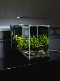 22 Diy Aquarium Projects And How To