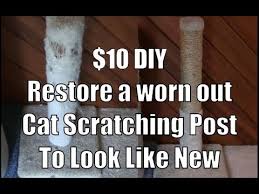 how to replace carpet on a cat tree