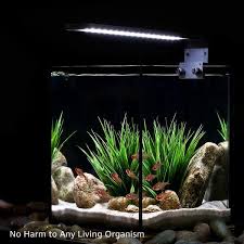 Shop 5w 400lm Led Aquarium Light Fish Tank Light For Freshwater Aquarium 1 Pack Overstock 18521694