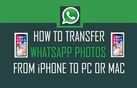 transfer whatsapp photos from iphone