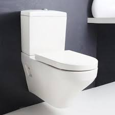 Volga White Wall Hanging Toilet Seat