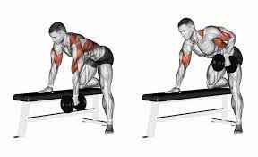 the 10 best upper back exercises