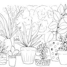House Plants Sketch Diane Antone Studio