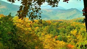 Image result for Autumn in Apennines