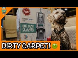 clean your rv carpets