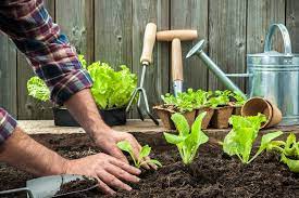 Garden Beds Services In Perth Green