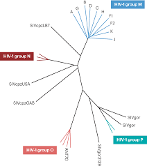 hiv infection nature reviews disease