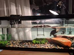 Turtle Tank Aquariums