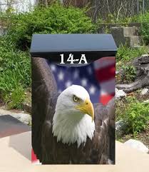 Bald Eagle Head With American Flag Wall