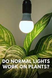 do regular led lights work for plants
