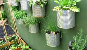 Make Your Terrace A Vegetable Garden