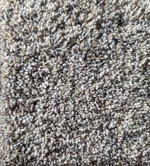 dream weaver carpet coastal flooring