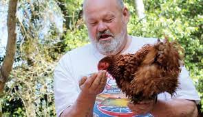 The training is working if the birds perk up and approach you like they are waiting for food. How To Train Your Chickens Hobby Farms