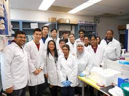 Research Opportunities | Masters in Biochemistry and Molecular Biology |  Georgetown University