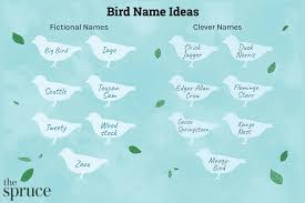 280 names for your pet bird