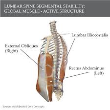 Some of these muscles are quite large and cover broad areas. Lumbar Segmental Instability When Your Spine Is Too Mobile