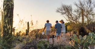 the best tucson tours and things to do