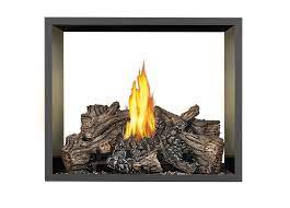 Gas Fireplace Hearth Appliances