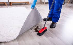 hidden dangers lurking in your dirty carpet