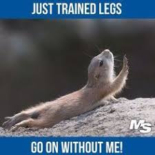 Leg Day Memes on Pinterest | Gym Humor, Funny Workout Memes and ... via Relatably.com