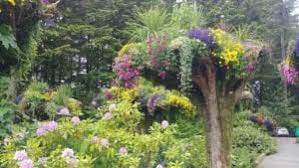 things to do in juneau glacier gardens