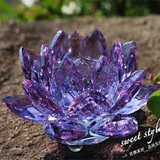 Kasiat bunga tunjung biru : Download Gambar Bunga Tunjung Biru Vina Gambar