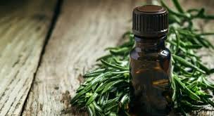 Image result for Health Benefits of Tea Tree