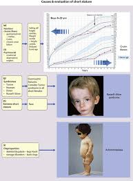Growth And Puberty Clinical Gate