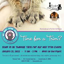 a nail trim event at thomas tails