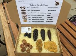 Bristol Stool Chart Box Set