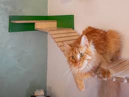 Wally Combo Corner Wall Mounted Cat