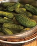Does a cucumber turn into a pickle?