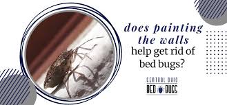 Walls Help Get Rid Of Bed Bugs