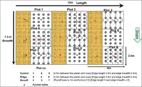 12 Plot Layout At The Community Gardens