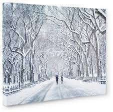 new york central park wall art the