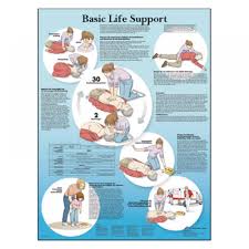 Basic Life Support Bls Laminated Chart Poster